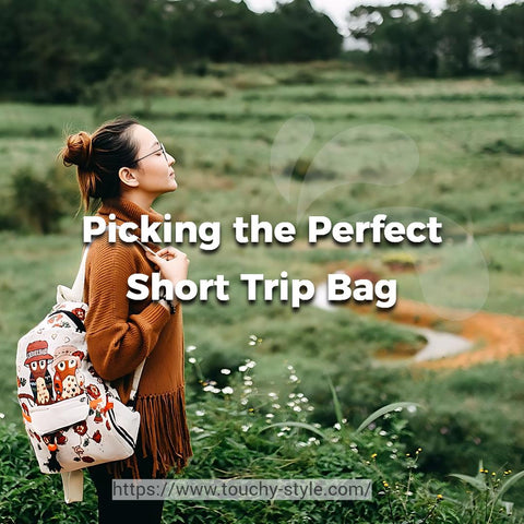 What Kind of Travel Bag is Suitable for Short Trips? - Touchy Style .