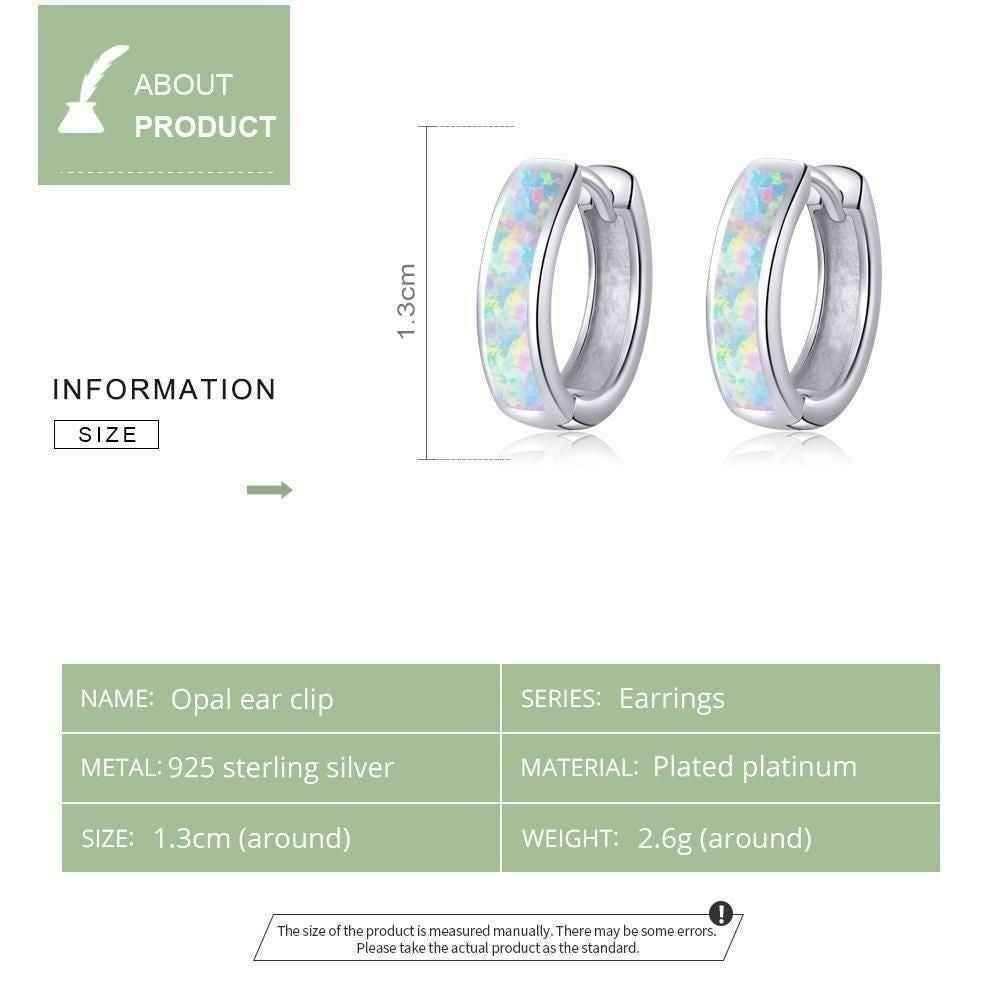 100% 925SS Round Clip Hoop Earrings Charm Jewelry - CQE861 - Touchy Style