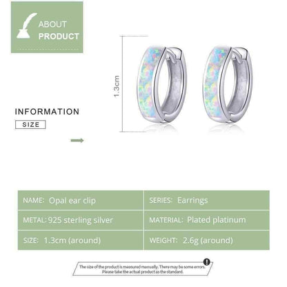 100% 925SS Round Clip Hoop Earrings Charm Jewelry - CQE861 - Touchy Style