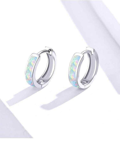 100% 925SS Round Clip Hoop Earrings Charm Jewelry - CQE861 - Touchy Style