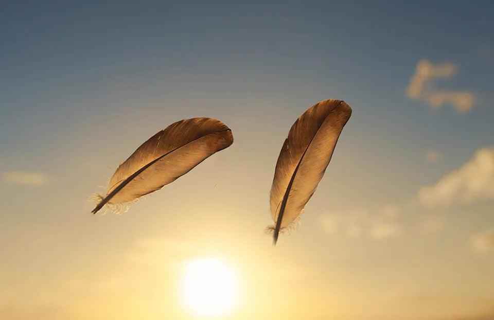 925 Sterling Silver Goose Feather Pendant Necklace - LFJE0211 Charm Jewelry - Touchy Style