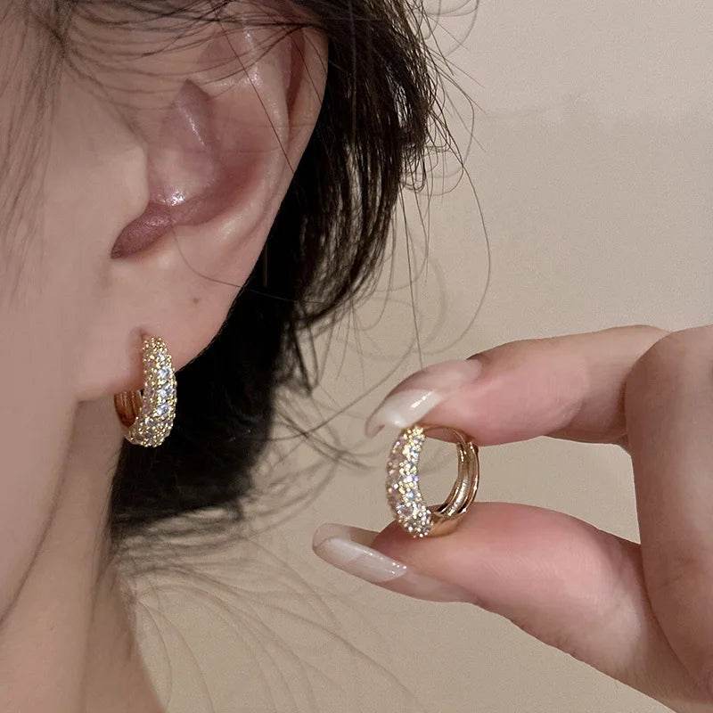 PANJBJ 925 Sterling Silver Frosting Zircon Hoop Earrings For Women Geometry Shining Minimalism Classic Jewelry Gift Dropshipping - Touchy Style