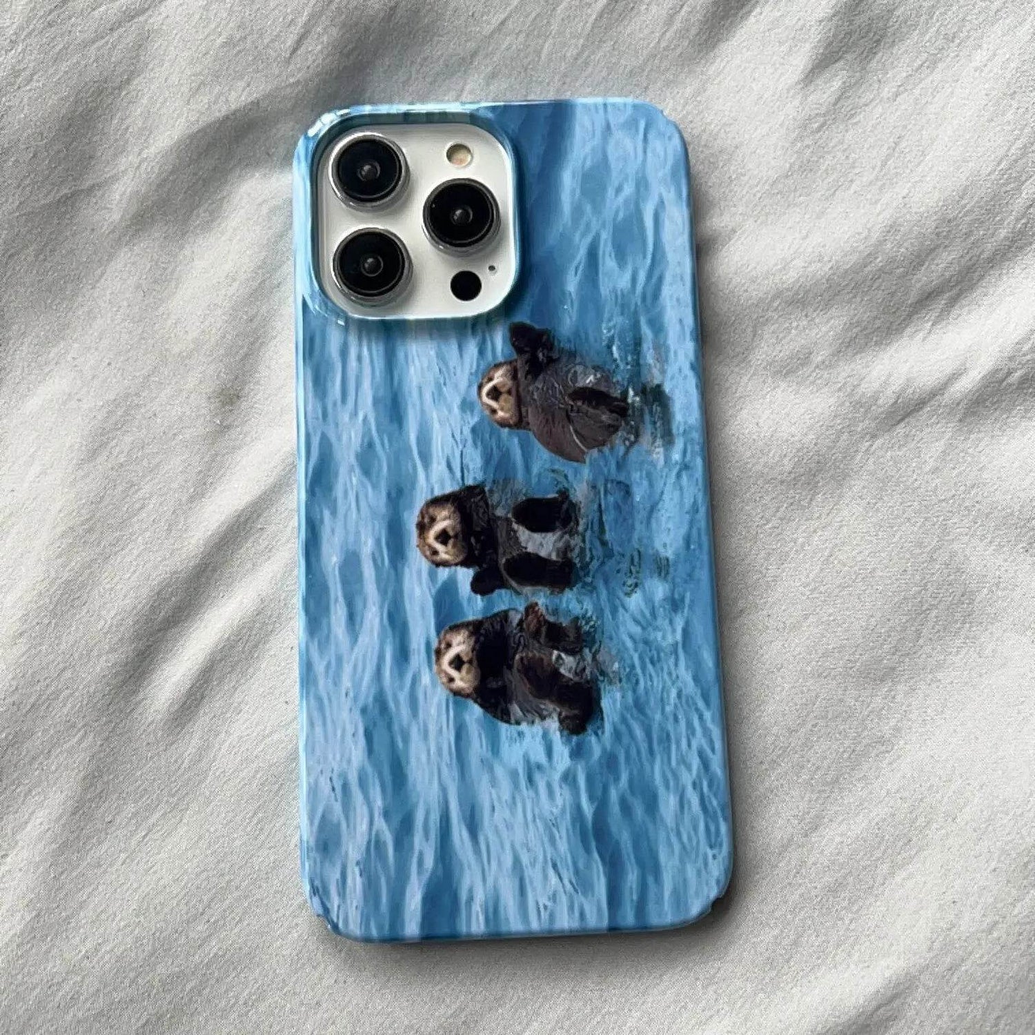 Cute Phone Cases For iPhone 15PRO MAX, 14, 13 PRO MAX, 15, 15PLUS, 15PRO, 11Pro - Beaver Poster Illustration - Acrylic Hard Cover - IC6210 - Touchy Style