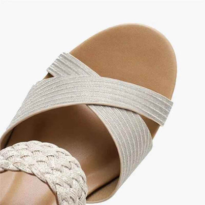 B311 Women&