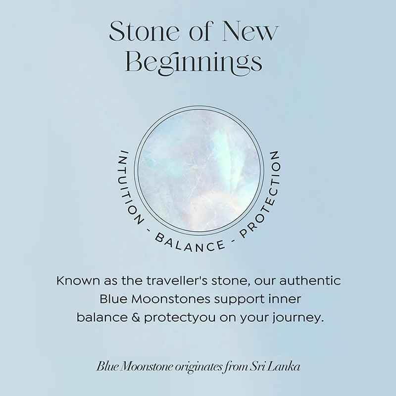 Blue Moonstone Whale - Pendant Necklace Charm Jewelry - XF0088B1 - Touchy Style
